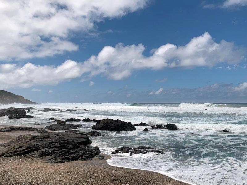 George Business Chamber