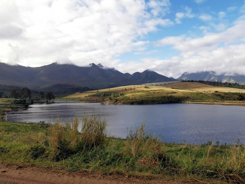 George Business Chamber